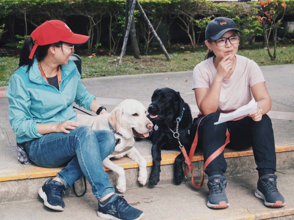 停車大聲公與導盲犬協會合作活動,響應導盲犬培訓計畫,幫助視障朋友,導盲犬訓練師需要你幫忙